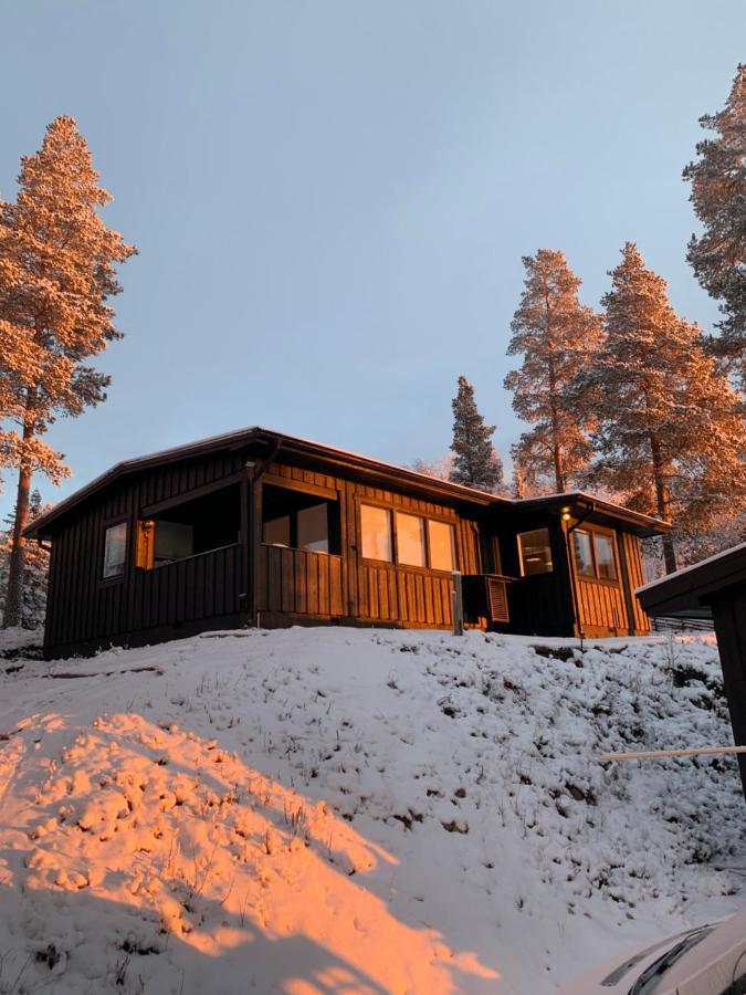 1125 Fjaellstugan Lofsdalen Exterior photo
